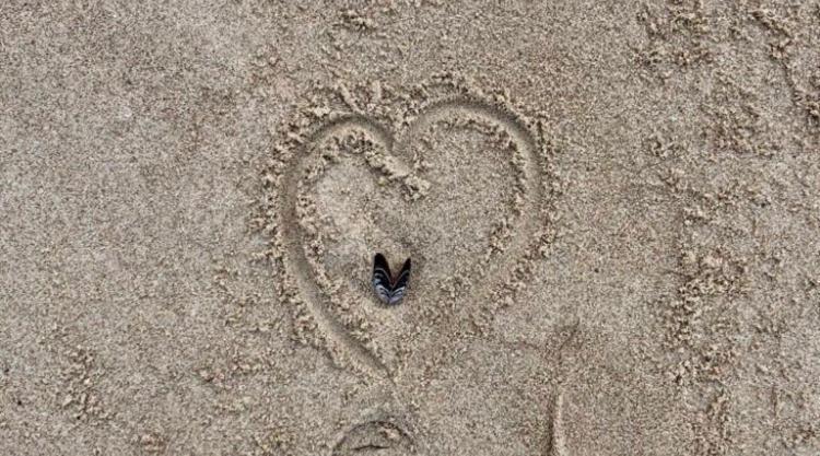 Die Kleine Acht - Direkt Am Strand Dierhagen Exterior foto